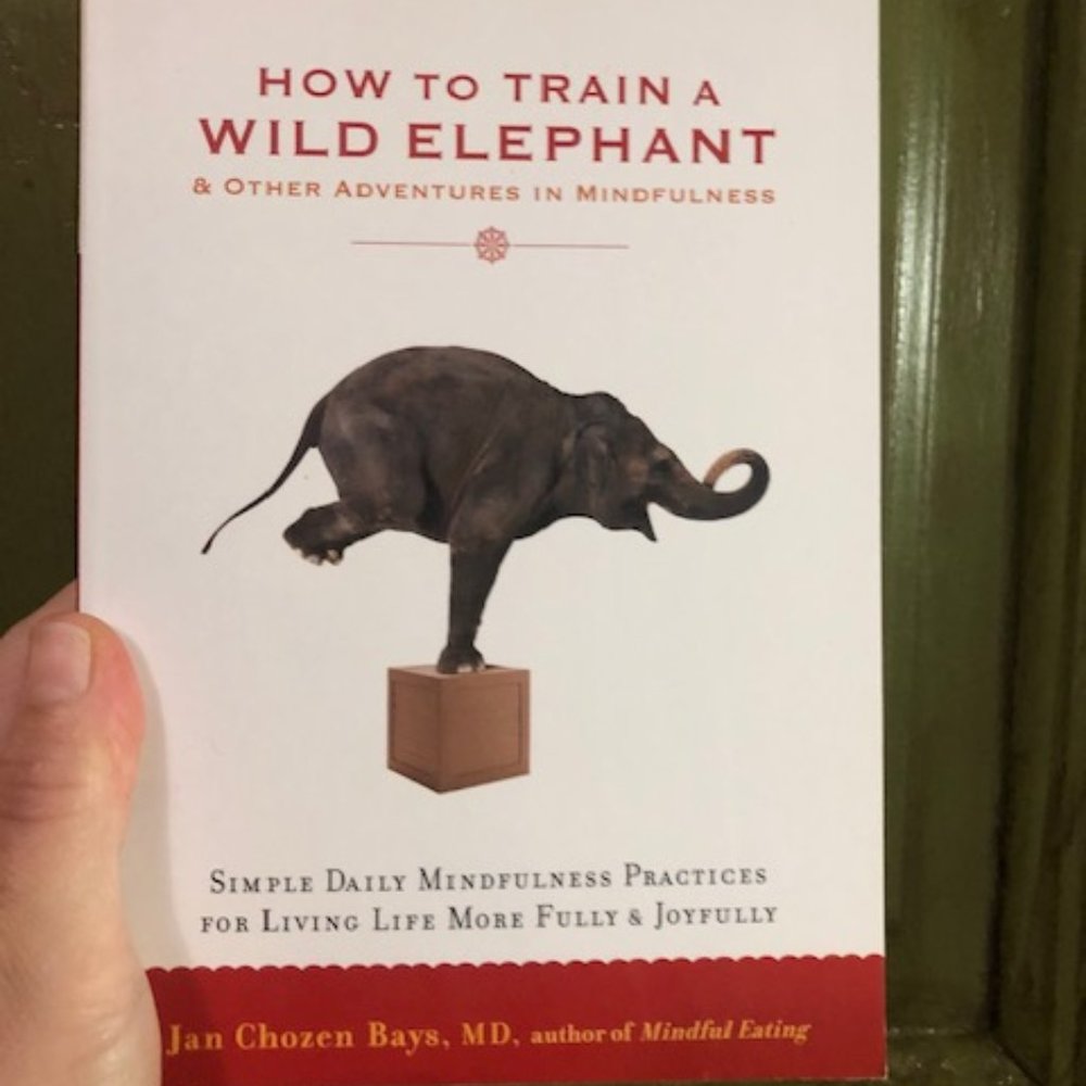 SOLD - How to Train a Wild Elephant & Mindfulness